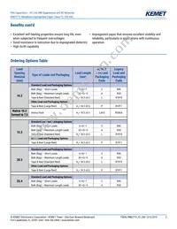 PME271Y447MR19T0 Datasheet Page 2