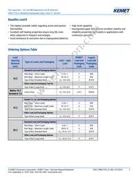 PME271YB5100MR30 Datasheet Page 2