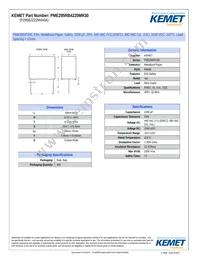 PME295RB4220MR30 Datasheet Cover