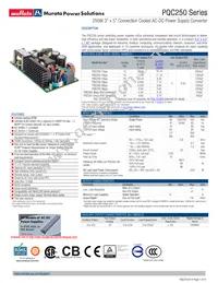 PQC250-24D Datasheet Cover