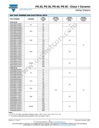 PS0040BE20133BJ1 Datasheet Page 3