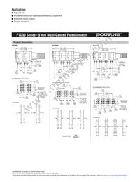 PTD905-2015P-A203 Datasheet Page 2