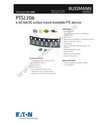 PTS12066V200 Datasheet Cover