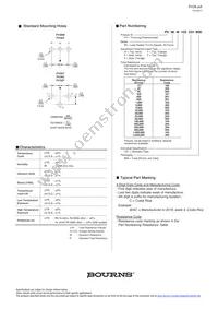PV36P504C01B00 Datasheet Page 4