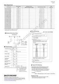 PV37X504C01B00 Datasheet Page 2