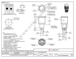 PVA3F2B0SS3R1 Datasheet Cover