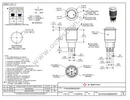 PVA3H2B0SS3R1 Datasheet Cover