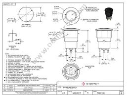 PVA6LRE21131 Datasheet Cover