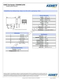 PZB300MC11R30 Datasheet Cover