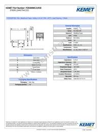 PZB300MC21R30 Datasheet Cover