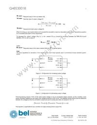 Q48S30018-NS00G Datasheet Page 5