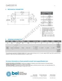 Q48S30018-NS00G Datasheet Page 13