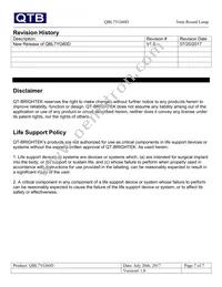 QBL7YG60D Datasheet Page 7