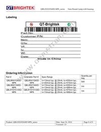 QBL8RAYA60D-MP6 Datasheet Page 8