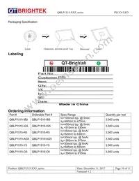 QBLP1515-Y5 Datasheet Page 10