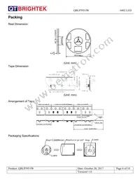 QBLP595-IW Datasheet Page 8