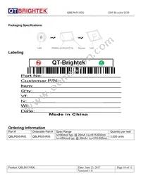 QBLP655-RIG Datasheet Page 10