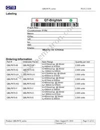 QBLP670-Y Datasheet Page 11