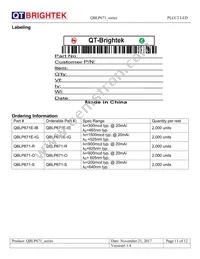 QBLP671E-IG Datasheet Page 11