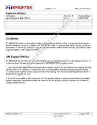 QBLP677-Y Datasheet Page 9