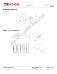 QBQS560AG Datasheet Page 9