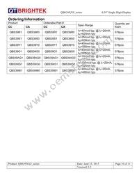 QBS39IB1 Datasheet Page 10
