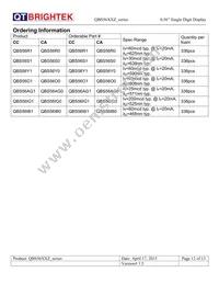 QBS56IG1 Datasheet Page 12