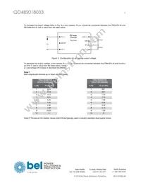 QD48S018033-NS00 Datasheet Page 5