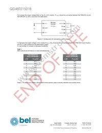 QD48T015018-NCB0G Datasheet Page 5