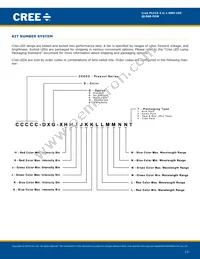 QLS6B-FKW-CNSNSF043 Datasheet Page 13