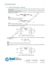 QME48T40050-PGABG Datasheet Page 5
