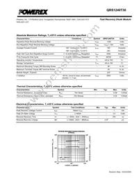 QRS1240T30 Datasheet Page 2