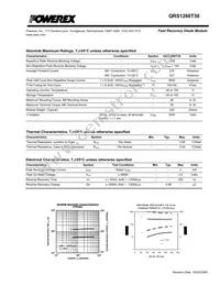 QRS1260T30 Datasheet Page 2