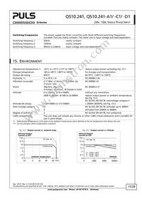 QS10.241-A1 Datasheet Page 15