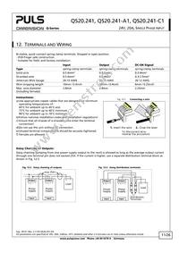 QS20.241-A1 Datasheet Page 11