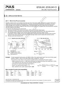 QT20.241-C1 Datasheet Page 21