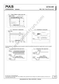 QT20.481 Datasheet Page 7