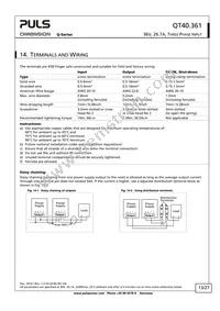 QT40.361 Datasheet Page 13