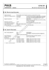 QT40.361 Datasheet Page 17