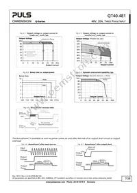 QT40.481 Datasheet Page 7