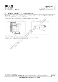 QT40.481 Datasheet Page 10