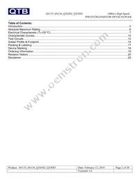 QT4503 Datasheet Page 2