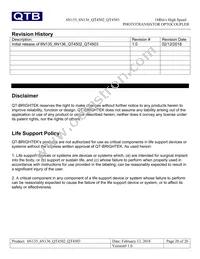 QT4503 Datasheet Page 20