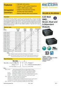 R0.25D12-3.33.3/HP Datasheet Cover