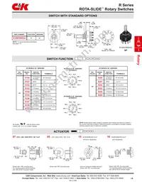 R10207RR03Q Datasheet Page 2