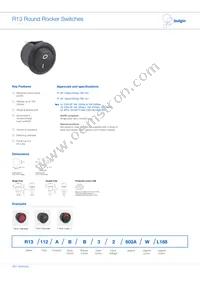 R13112AAAA Datasheet Cover