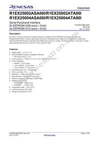 R1EX25004ATA00I#S0 Datasheet Cover