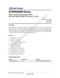 R1RW0408DGE-2PI#B0 Datasheet Page 3