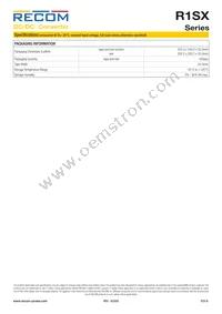 R1SX-3.33.3/H-R Datasheet Page 6