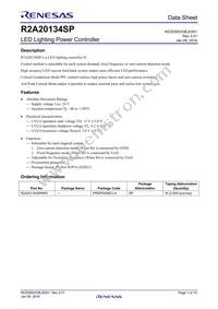 R2A20134SP#W5 Datasheet Cover